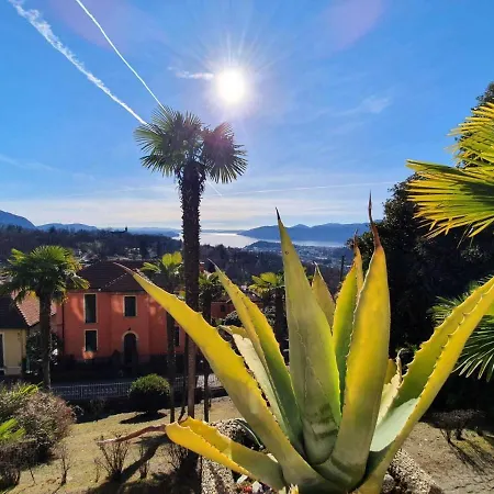 In Setting דירה Vignone