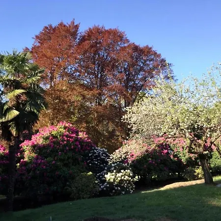 In Setting דירה *