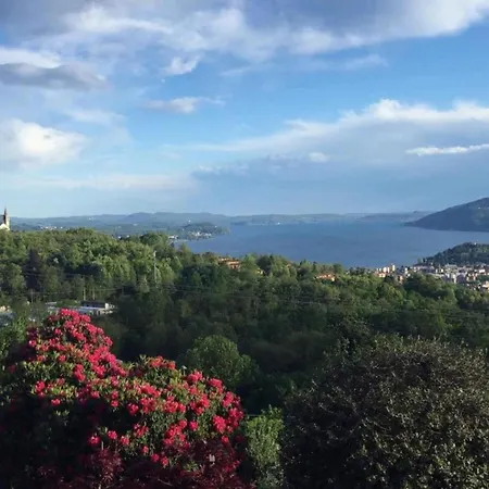 In Setting * Vignone